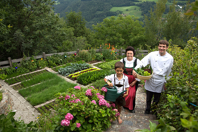 La cucina naturale dell'Adler