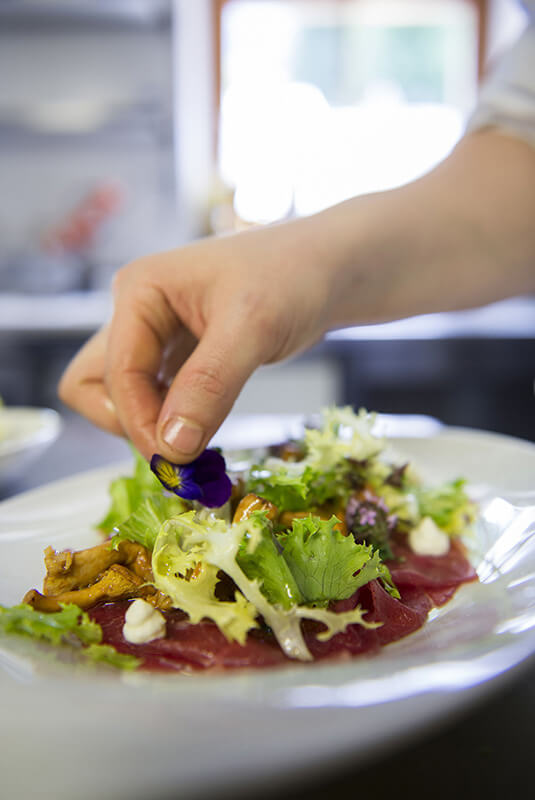 Salat mit Pfifferling