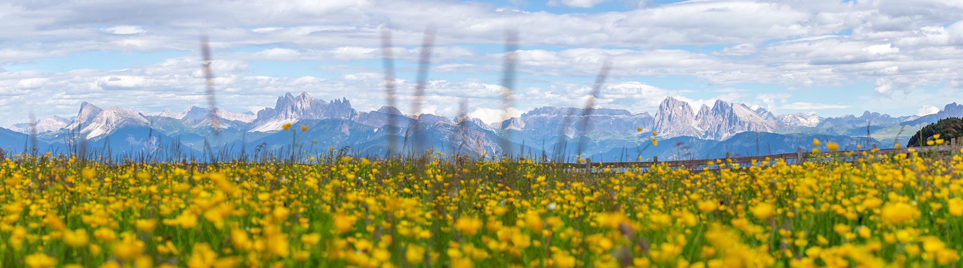 The heart of South Tyrol