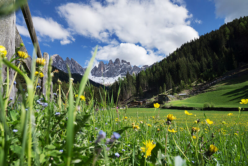 Val di Funes - Adolf-Munkel Trail