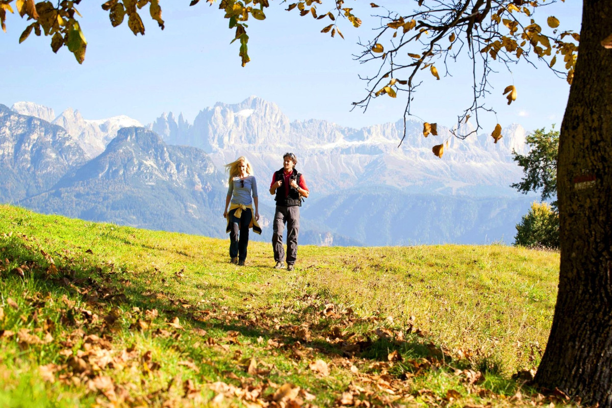 Weingenuss & Genusswandern im südlichen Eisacktal