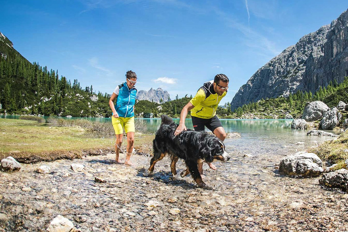 Special Hiking weeks with your dog
