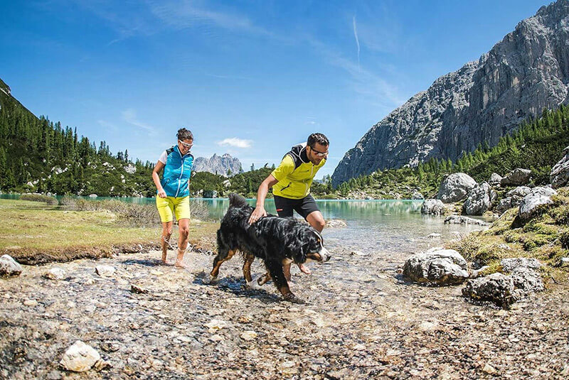 Escursioni con il cane
